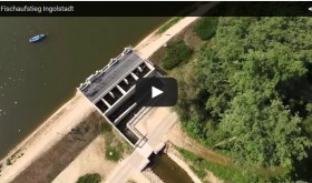 Fischaufstiegsanlage Ingolstadt